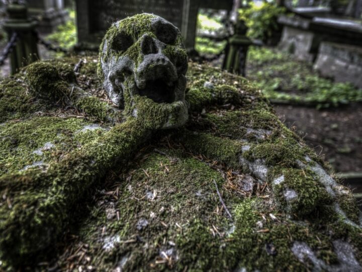 Znalezisko archeologiczne w lesie kujawsko-pomorskim odkrywa starożytne groby Gotów