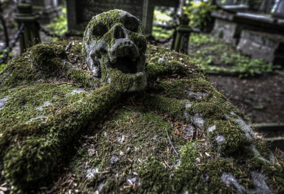 Znalezisko archeologiczne w lesie kujawsko-pomorskim odkrywa starożytne groby Gotów