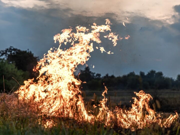 Nocne płomienie na polu: Pożar ciągnika rolniczego w Gołotach