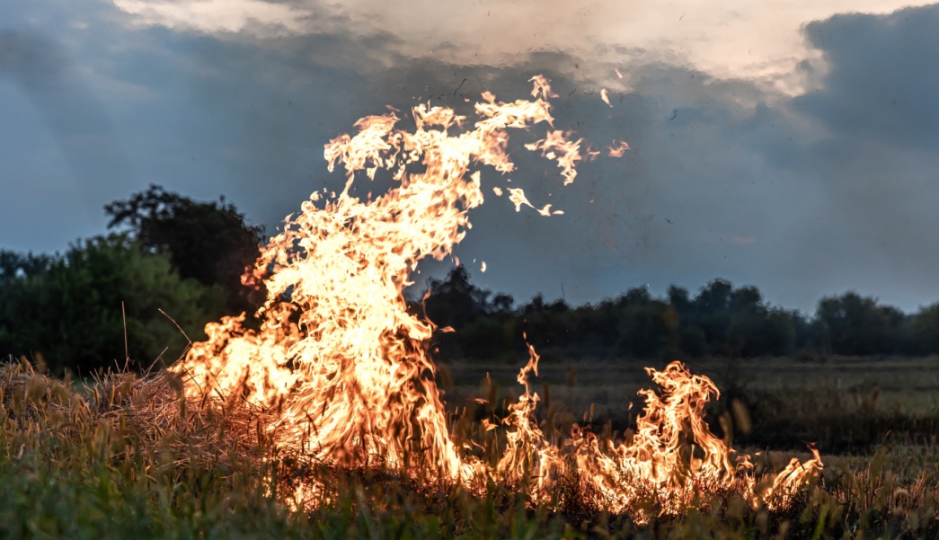 Nocne płomienie na polu: Pożar ciągnika rolniczego w Gołotach