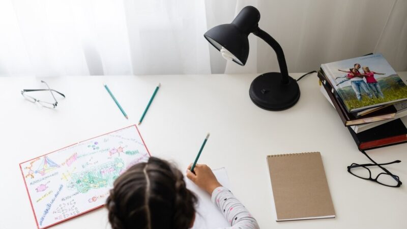 Nowe kierunki i profile kształcenia w szkołach Powiatu Chełmińskiego na rok 2026/2027