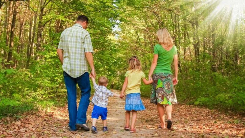 Konkurs na wsparcie rodzicielstwa zastępczego w 2026 roku